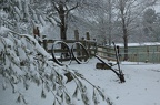 Snow